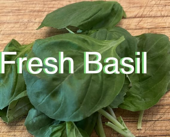 Fresh Basil